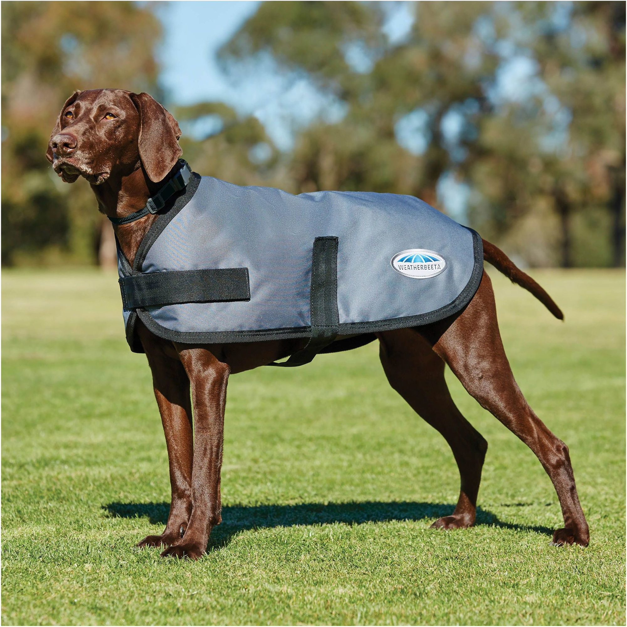 Weatherbeeta Comfitec Classic Hundemantel 1001617 - Dunkelgrau